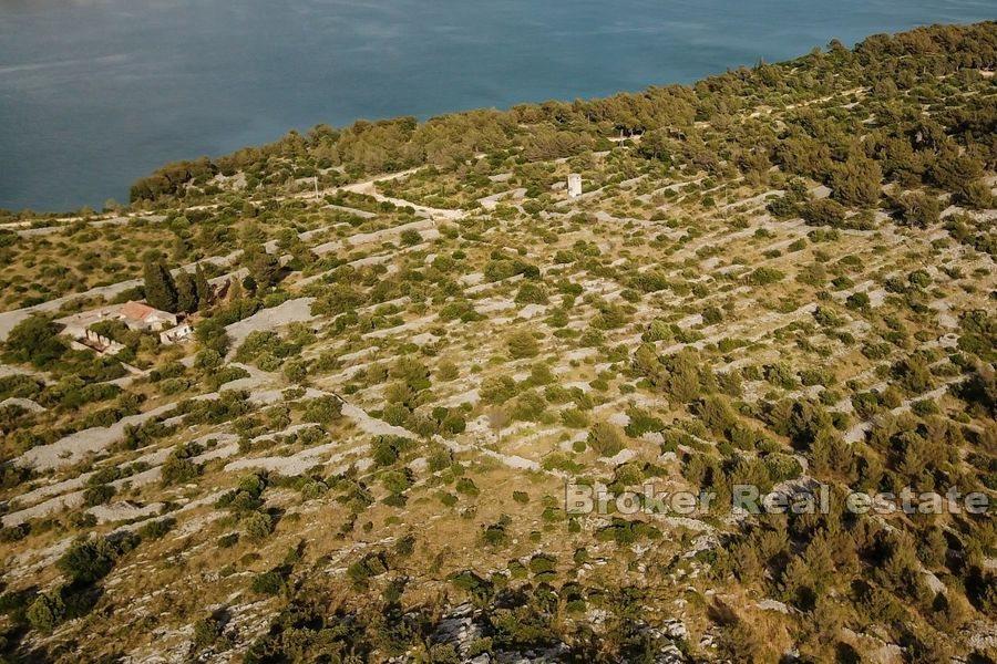 Terrain avec ruine et vue mer