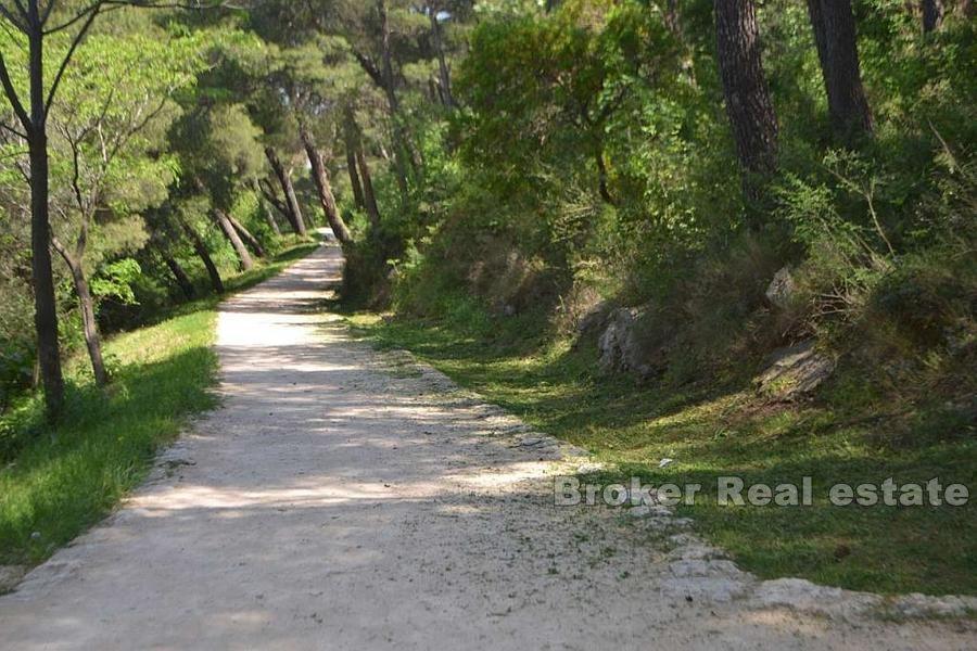 Terreno edificabile con progetto e vista mare