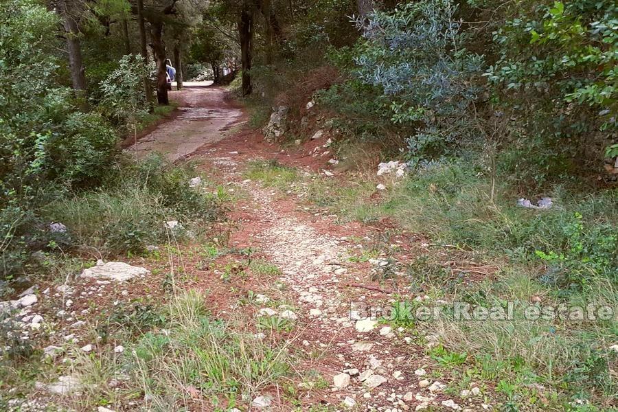 Terreno edificabile con progetto e vista mare