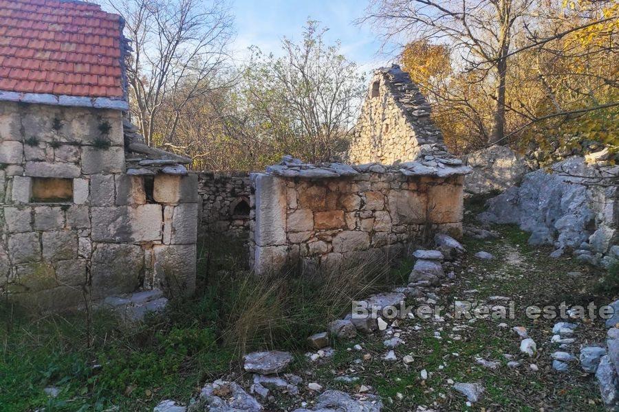 Six Dalmatian cottages on a large plot