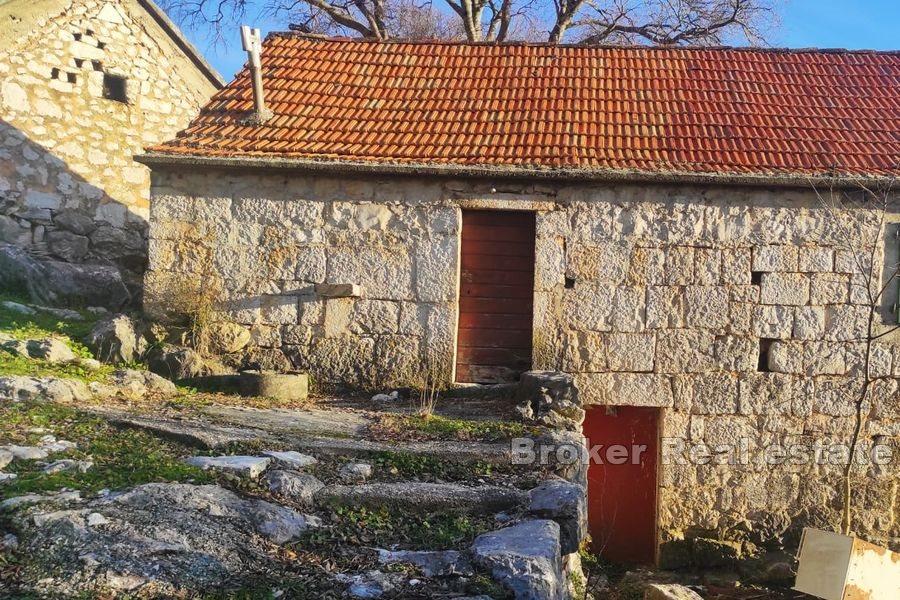 Six Dalmatian cottages on a large plot