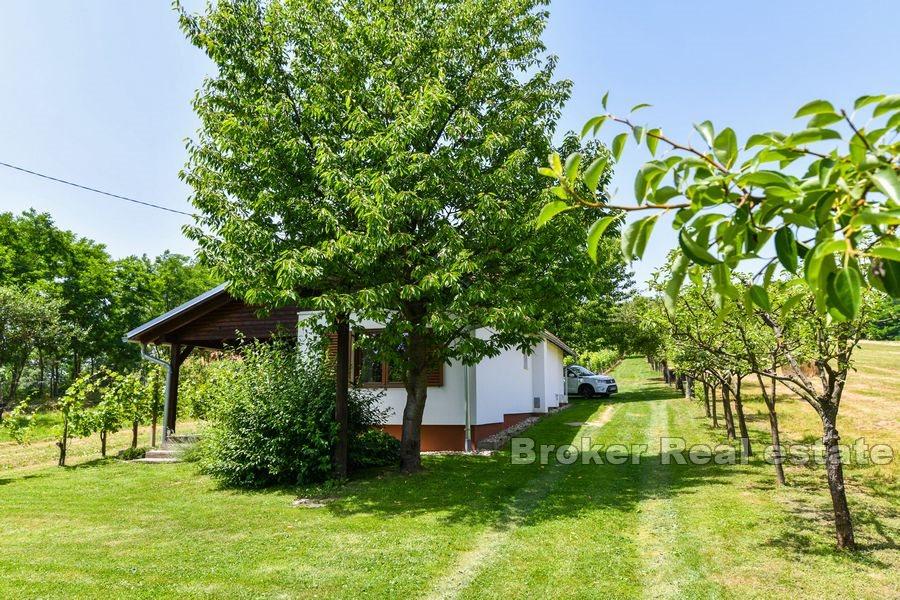 Maison avec vignoble