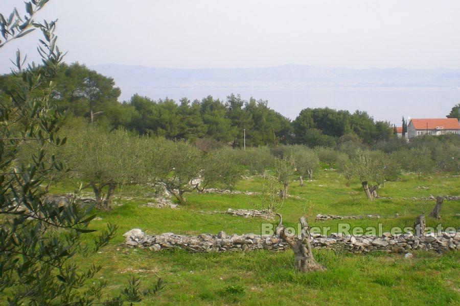 Terreno edificabile con vista mare aperta