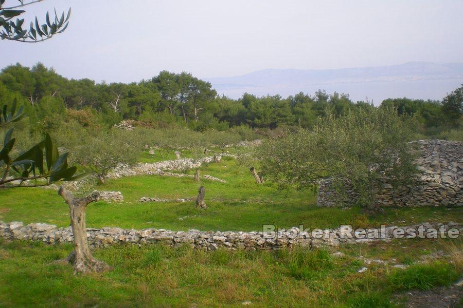 Terreno edificabile con vista mare aperta
