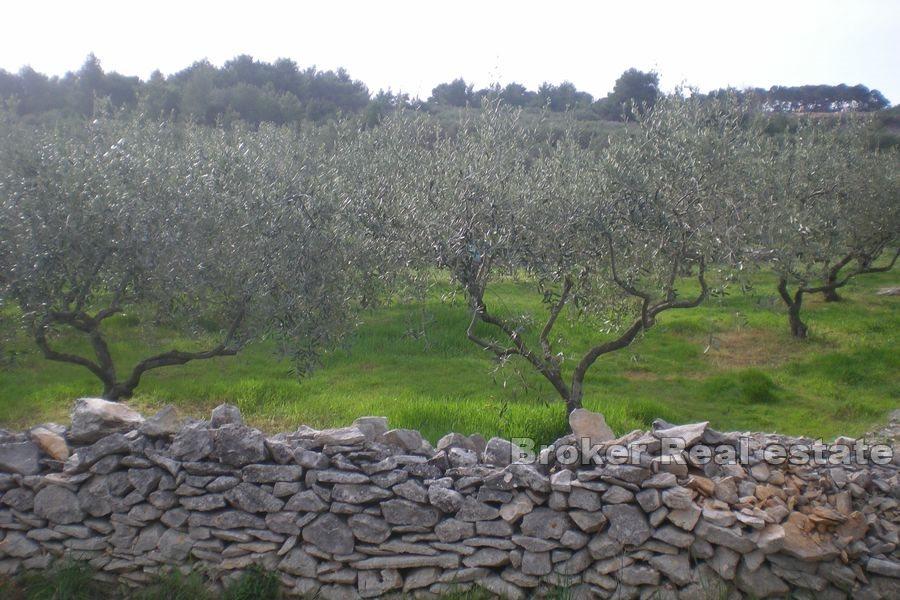 Terreno edificabile con vista mare aperta