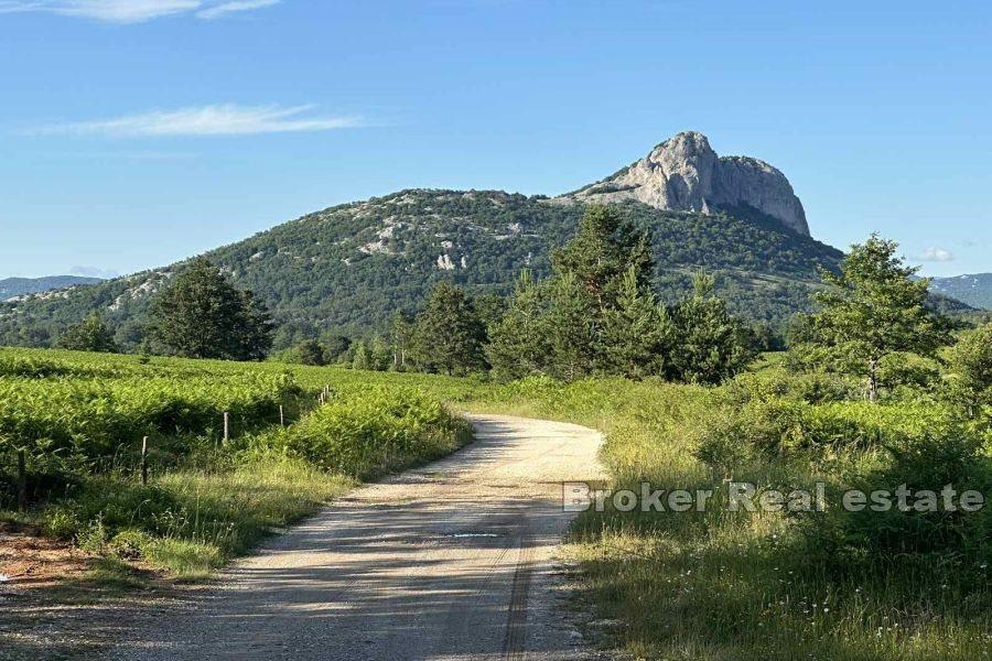Grand terrain au calme