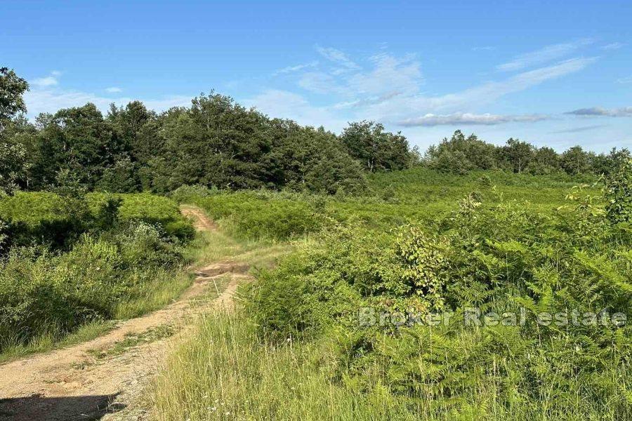 Grand terrain au calme
