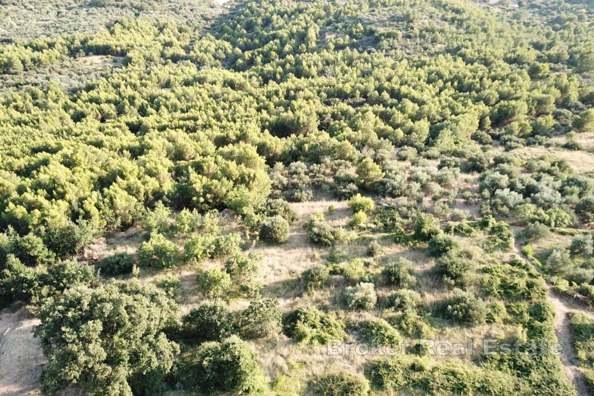 Terreno edificabile con vista mare