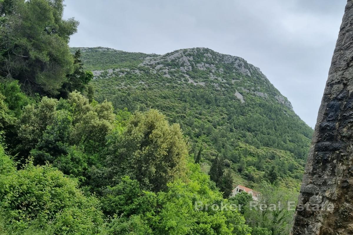 Grand terrain dans un emplacement unique
