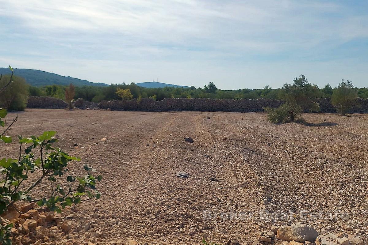 Terreno edificabile in posizione tranquilla