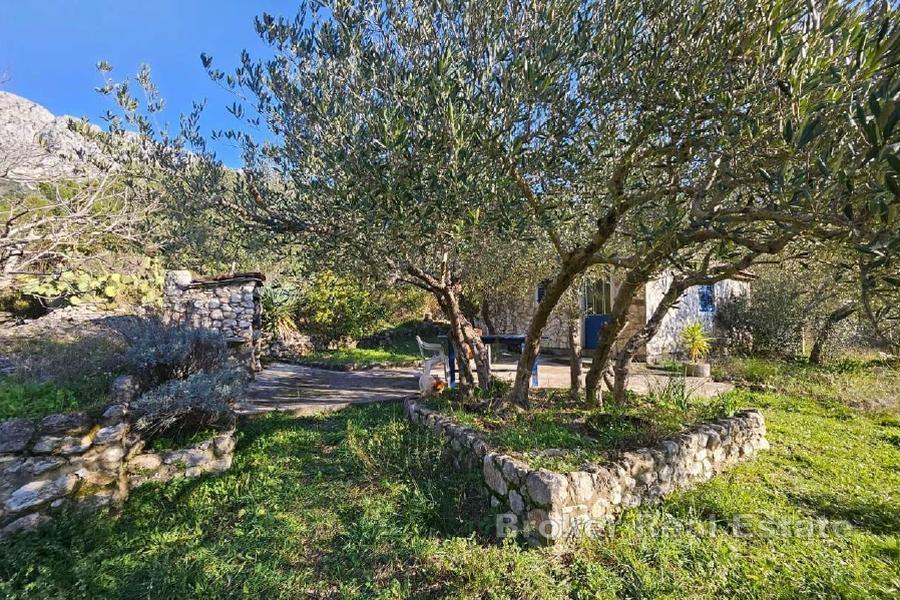 Terreno agricolo con dependance vicino al mare