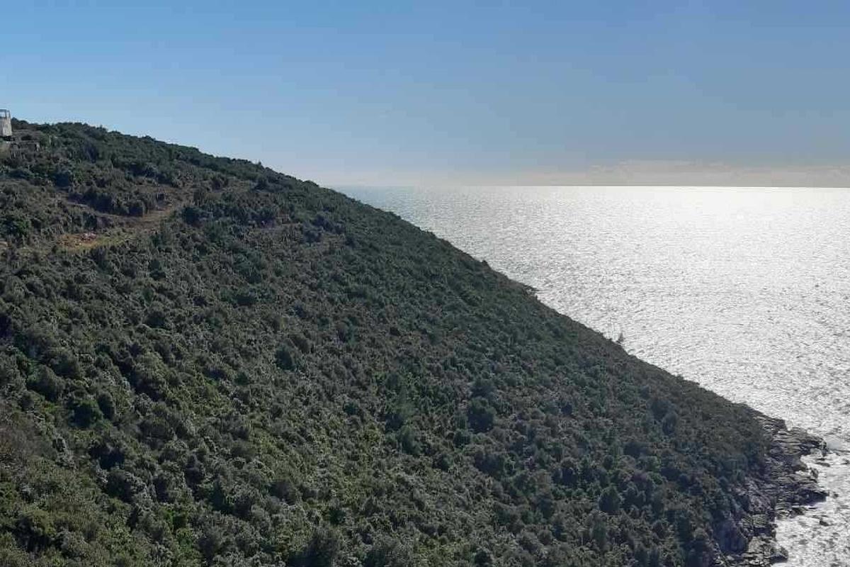 Terreno edificabile fronte mare con grande potenziale di sviluppo