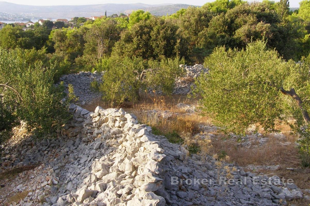 Terreno agricolo con vista mare aperta