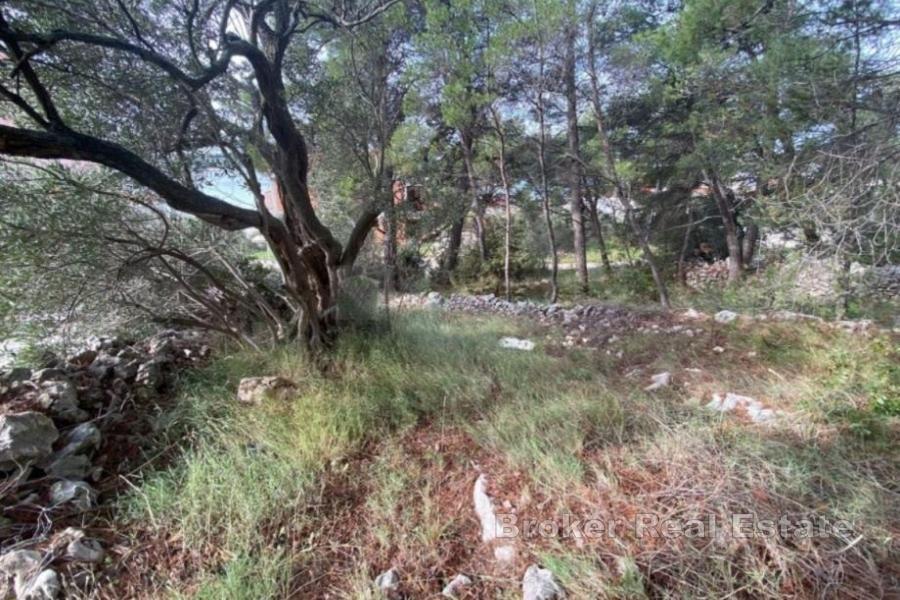 Terreno edificabile vicino al mare