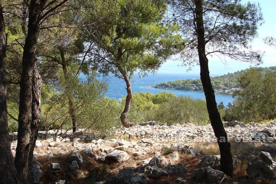 Terreno edificabile, vista mare