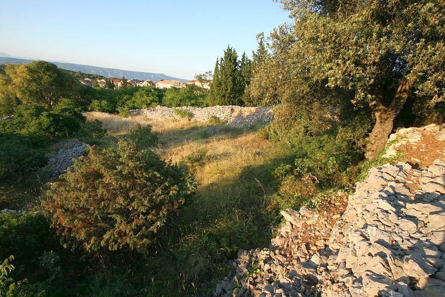Building land with sea view