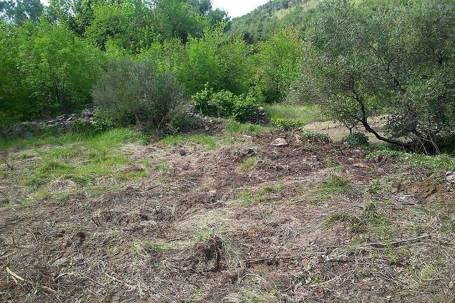 Terrain constructible