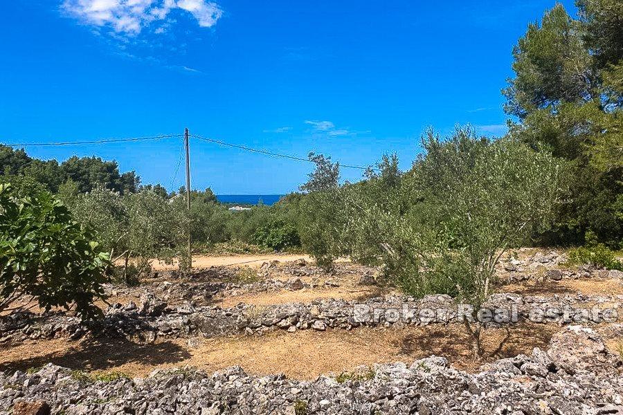 Land mit Meerblick