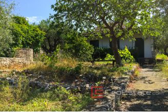 3649 30 rogoznica house first row 016