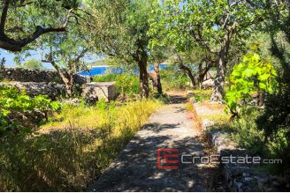 3649 30 rogoznica house first row 016