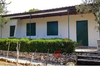 3649 30 rogoznica house first row 016