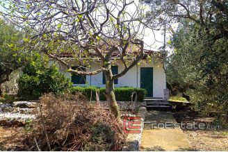 3649 30 rogoznica house first row 016