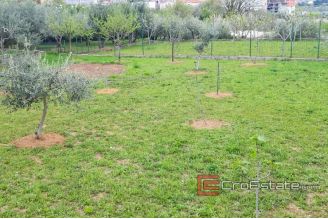 13 2019 117 Splt area for sale