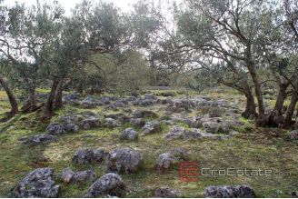 019 2021 214 primosten hinterland larger land with house for sale