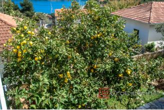 16 4933 30 Solta house sea view for sale