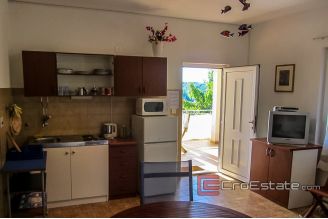 16 4933 30 Solta house sea view for sale