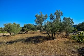 08 2025 16 Brac building land sea view for sale