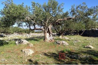 10 712 40 Brac Land For Sale