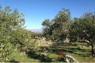 10 712 40 Brac Land For Sale