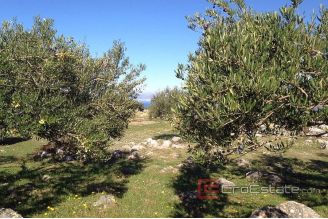 10 712 40 Brac Land For Sale