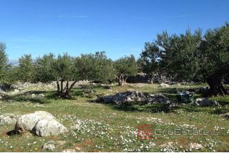 10 712 40 Brac Land For Sale