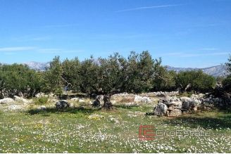 10 712 40 Brac Land For Sale