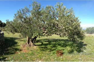 10 712 40 Brac Land For Sale