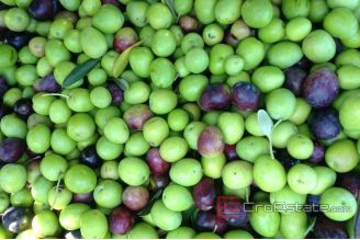 10 712 40 Brac Land For Sale