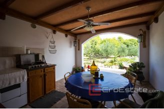 20 2016 110 Brac house garden sea view for sale