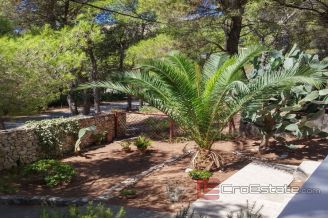 011 3949 30 Vis apartment house with a spacious garden for sale