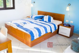 17 2013 117 Vis house for sale