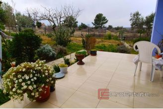 010 2040 07 Zadar house with spacious land for sale