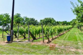 017 5102 30 Cakovec house with a vineyard for sale