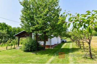 017 5102 30 Cakovec house with a vineyard for sale