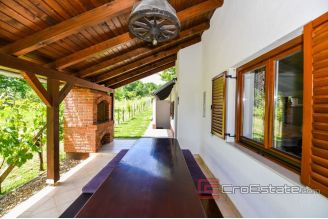 017 5102 30 Cakovec house with a vineyard for sale