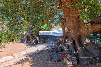 020 2021 303 near Zadar stone villa with pool and sea view for sale