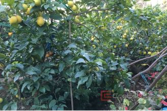 019 2030 32 Korcula stone house in center for sale