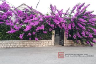 019 2030 32 Korcula stone house in center for sale