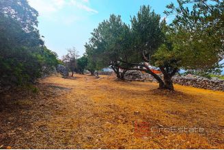 008 brač  agricultural land with sea view for sale