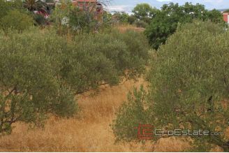 003 2031 44 Ciovo building land with sea view for sale1
